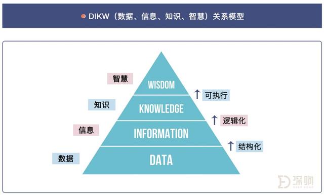 数据信息及知识